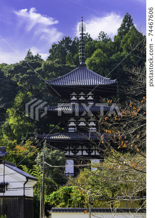 奈良縣葛城市Taima-dera West Tower 奈良縣葛城市Taima-dera West Tower 74467606