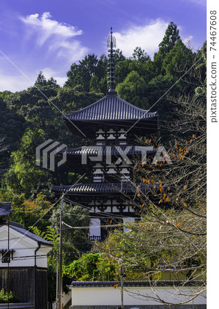 奈良縣葛城市Taima-dera West Tower 74467608