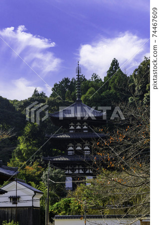 奈良縣葛城市Taima-dera West Tower 74467609
