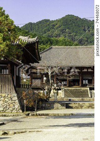 奈良縣桂浦市玉寺本館 奈良縣桂浦市玉寺本館 74468072