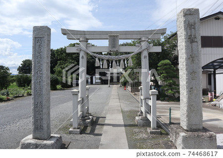 Umenomiya Shrine 74468617