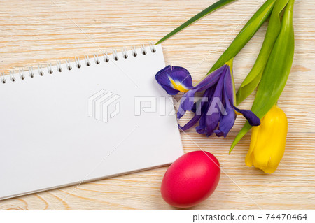 clear paper for message iris tulip easter egg clear paper for message iris tulip easter egg 74470464