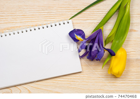 clear postcard with spring flowers 74470468