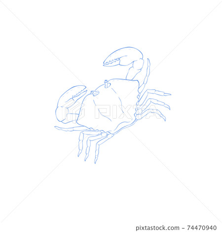 癌症，星座圖，春季星座 74470940