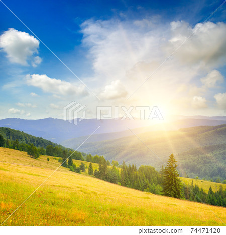 Carpathian forest and meadow in summer. Beautiful blazing sunset. 74471420