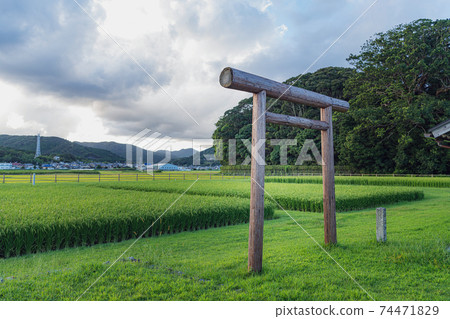 Shima Kuni Ichinomiya Izawanomiya Isobe的Mikamida Shima Kuni Ichinomiya Izawanomiya Isobe的Mikamida 74471829