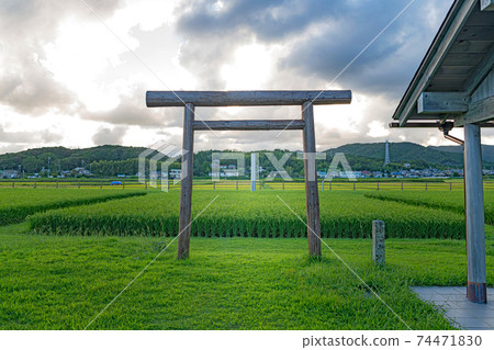 Shima Kuni Ichinomiya Izawanomiya Isobe的Mikamida Shima Kuni Ichinomiya Izawanomiya Isobe的Mikamida 74471830