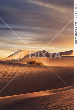 dunes sunset dunes sunset 74471833