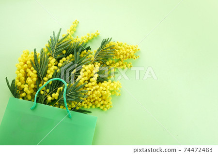 Shopping bag full of mimose flowers. Spring sale concept. 74472483
