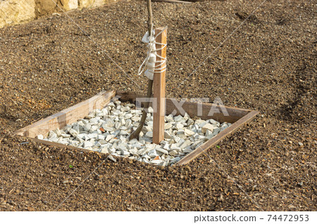 Wooden hole covered with decorative fine gravel for a fruit tree seedling 74472953