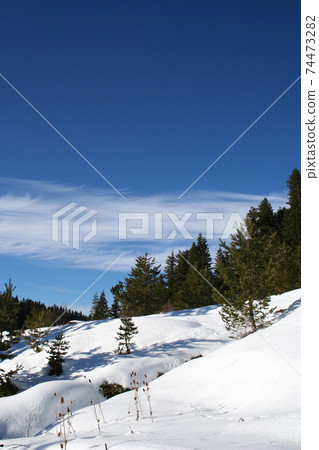 a view to ilgaz Mountain in Turkey 74473282