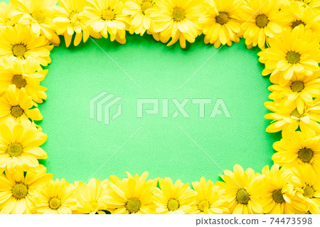 layout of bright yellow natural flowers on green background. Floral frame made of daisies. pattern of fresh plants on solid colored background. spring, summer, women day, mothers Day, ecology concept layout of bright yellow natural flowers on green background. Floral frame made of daisies. pattern of fresh plants on solid colored background. spring, summer, women day, mothers Day, ecology concept 74473598