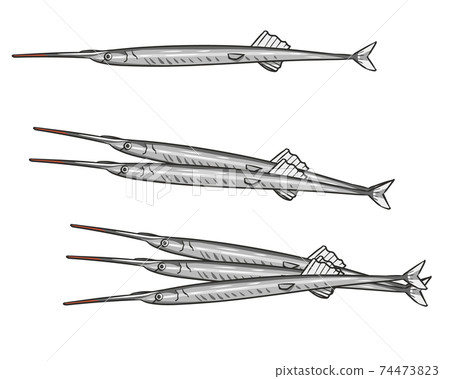 Sayori Sayori 74473823