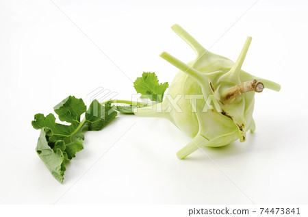 Kohlrabi 74473841