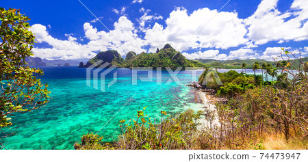 beauty in nature - impressive tropical islands, Philippines, Palawan 74473947