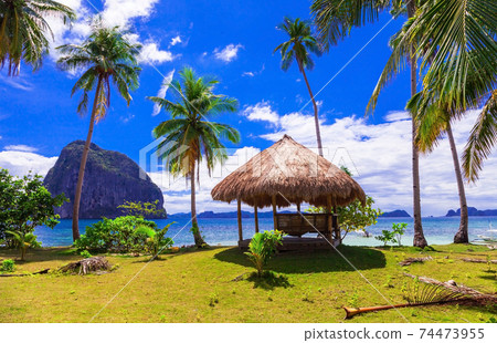 Tropical getaway - wild beauty of Philippines island,amazing scenery of El nido 74473955