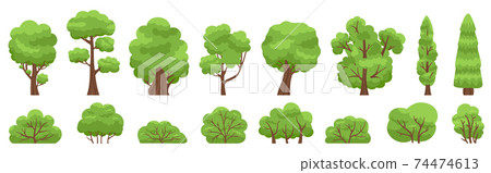 Green trees. Forest or garden bush and tree, woody foliage green branches. Nature forest and park green trees vector illustration set 74474613