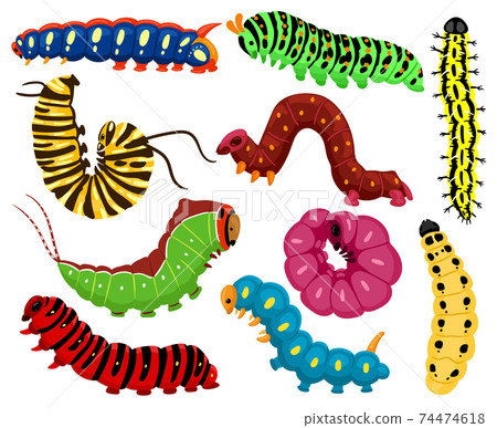 Cartoon caterpillars. Cute summer insects, spring colorful caterpillar. Pretty caterpillar mascots isolated vector illustration set 74474618