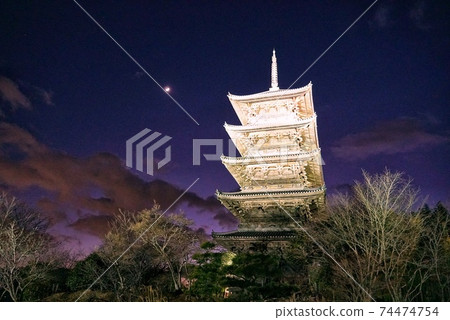 比丘國分寺五層塔的照明 74474754
