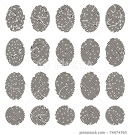 Fingerprint identification. Biometric human fingerprints, unique thumb lines imprint. Security fingerprint authentication vector illustration set 74474765
