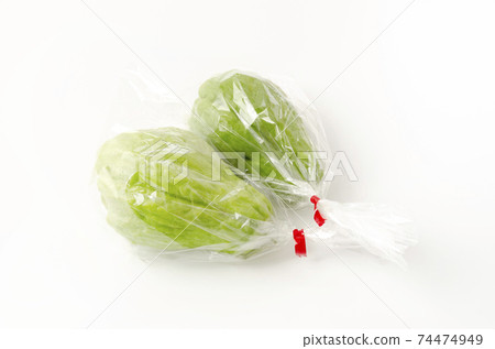 袋裝佛手瓜 74474949