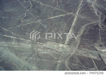 Nazca Lines Parrot Nazca Lines Parrot 74475240