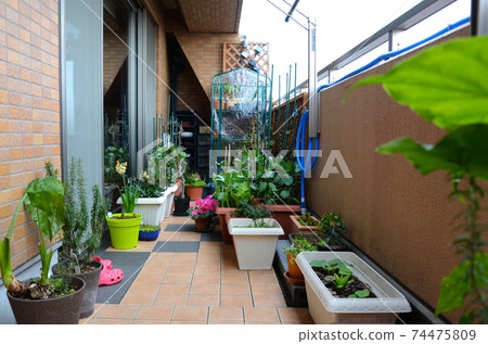 Veranda with tiles with plants 74475809