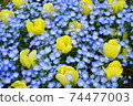 Monnetila 74477003