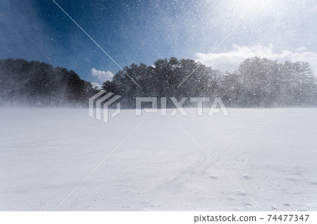 Winter Goshikinuma Snowscape Fukushima Prefecture 74477347