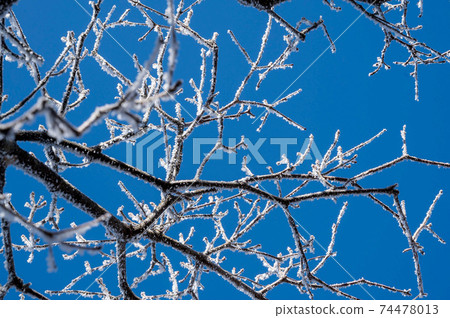 Cloud ice of Nita Pass 74478013