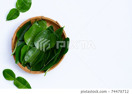 Bergamot kaffir lime leaves herb fresh ingredient isolated on white 74478712