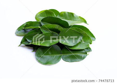 Bergamot kaffir lime leaves herb fresh ingredient isolated on white 74478713