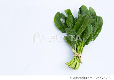 Collard green leaves with holes, eaten by pest. Organic Vegetable 74478729