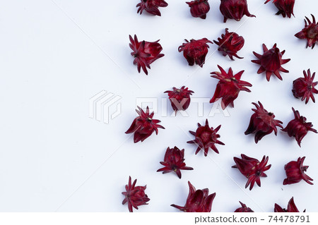 Roselle flower isolated on white Roselle flower isolated on white 74478791