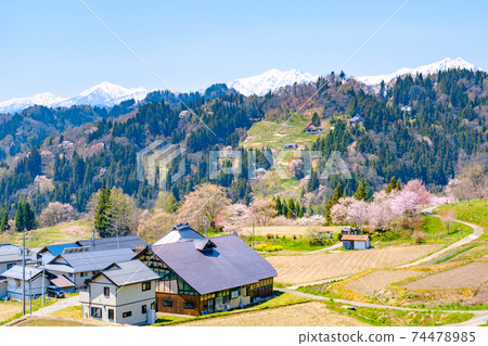 Idyllic mountain village scenery (spring) Idyllic mountain village scenery (spring) 74478985