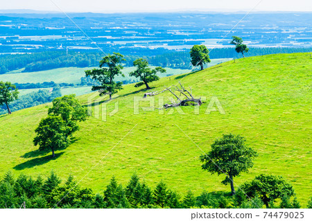 Kamishihoro Town, Hokkaido Naitai Highland Farm 74479025