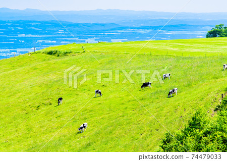 北海道成田高地農場龜石hor町 74479033