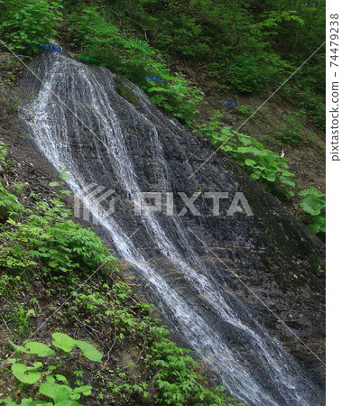 Oirase Stream Fresh green Oirase Stream Fresh green 74479238