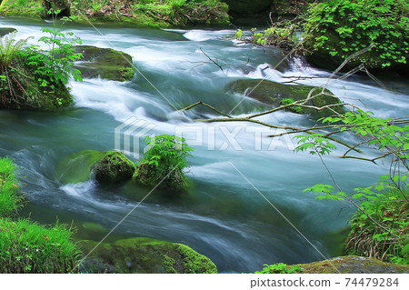 Oirase Stream Fresh green Oirase Stream Fresh green 74479284