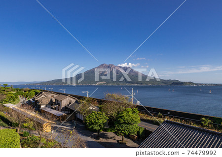 從鹿兒島縣鹿兒島市風景秀麗的仙岩園看的櫻島風景 74479992