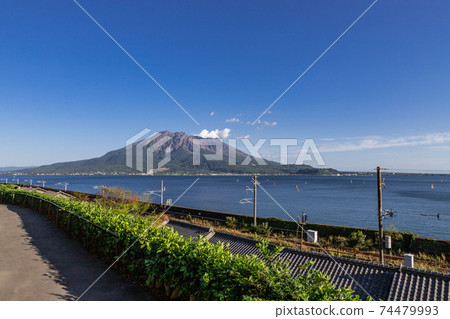 從鹿兒島縣鹿兒島市風景秀麗的仙岩園看的櫻島風景 74479993