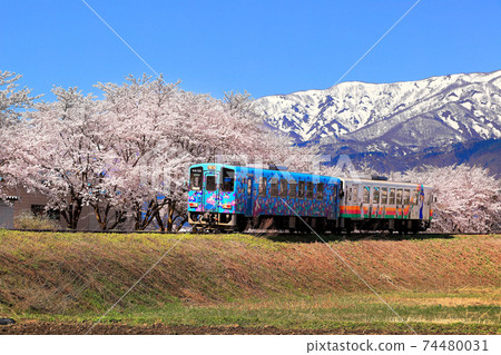 Flower Nagai Line 74480031