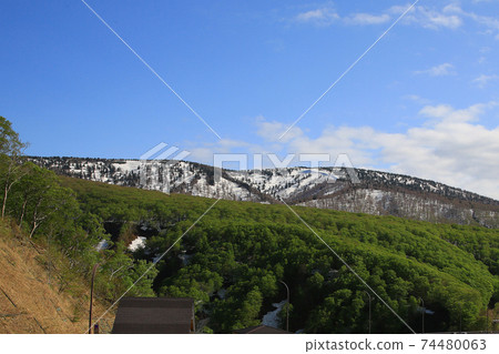 城倉大橋,城倉山溪,鮮綠色 城倉大橋,城倉山溪,鮮綠色 74480063
