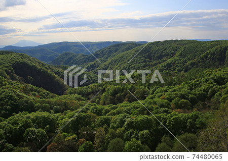 城倉大橋,城倉山溪,鮮綠色 城倉大橋,城倉山溪,鮮綠色 74480065