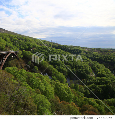 城倉大橋，城倉山溪，鮮綠色 74480066