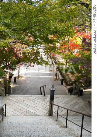 Sumadera Sumadera 74480206