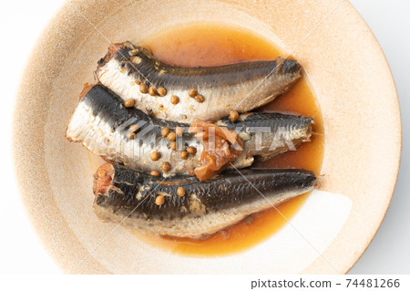 日本胡椒煮沙丁魚 74481266