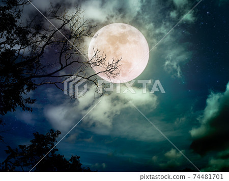 Beautiful bright full moon above wilderness area in forest. Serenity nature background. 74481701