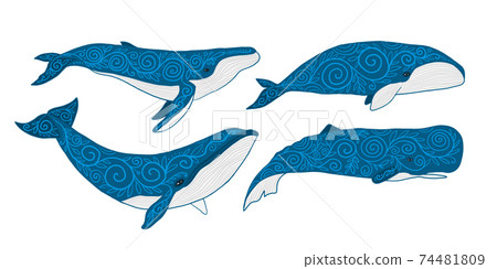 Wild Whale Set with Ethnic Ornaments - Stock Illustration [74481809 ...