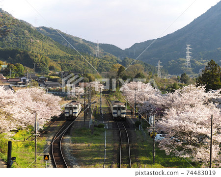 Kawara Town Copperworks Station in full bloom 74483019
